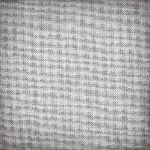 Square gray canvas with delicate grid to use vector image