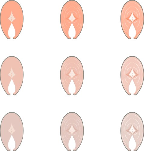 Mackerel Vector Image