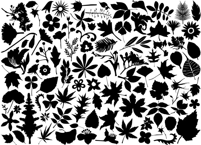 Leaf Outline Vector Images (over 280,000)