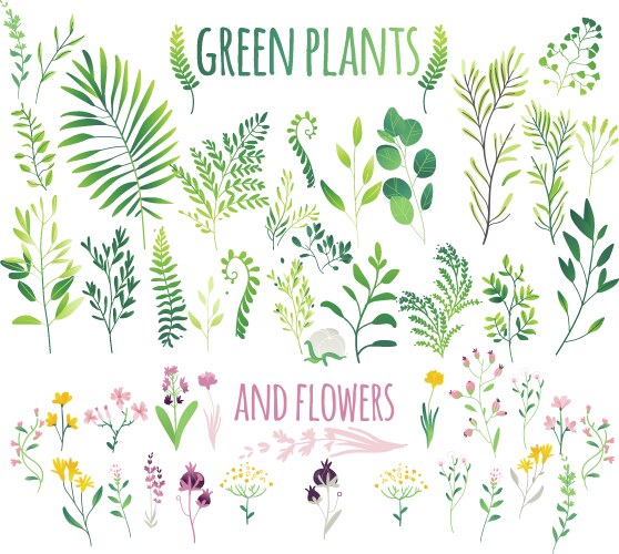 big set of flat green leaves twigs and flowers vector