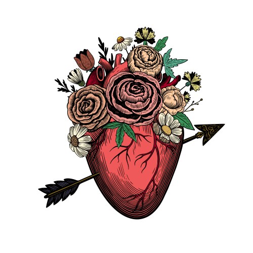 heart pierced by arrow broken with flowers vector image