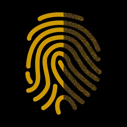 Fingerprint signature in binary code vector image