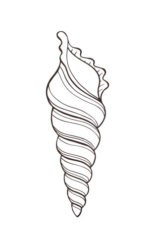 Seashell Sketch Vector Image