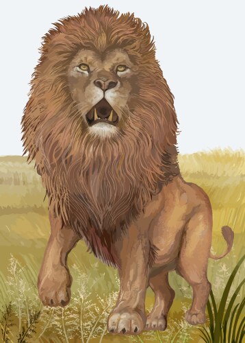 Hand drawn lion Vector Image