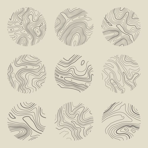 topographic map with contour lines geographic vector