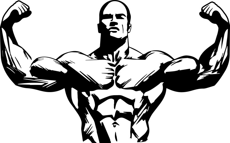 Muscular body in drawing stencil Vector Image