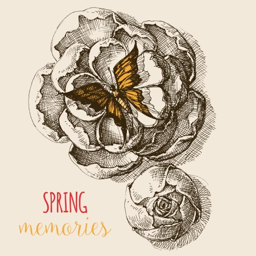 Rose Flowers and Butterfly Sketch Vector Image