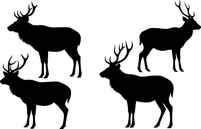 Sambar deer Vector Images & Graphics for Commercial Use | VectorStock