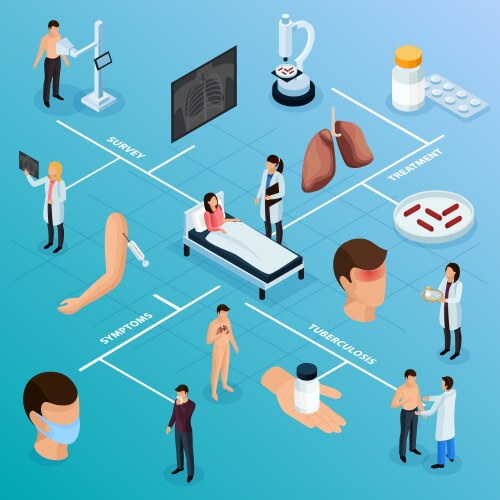 tuberculosis prevention isometric flowchart vector image