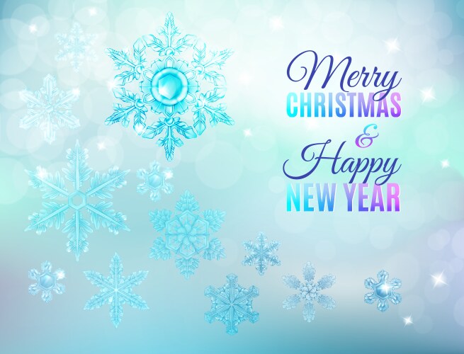 Christmas ice snowflake background vector image