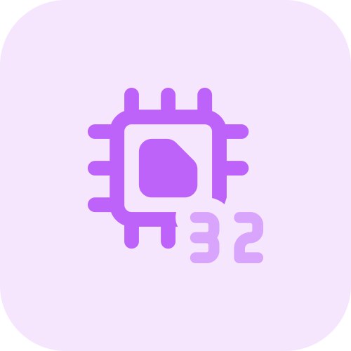 Processing unit with a 32-bit data capacity vector image