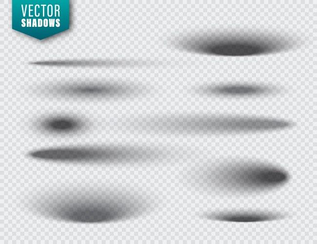 Round oval realistic transparent shadow effects Vector Image