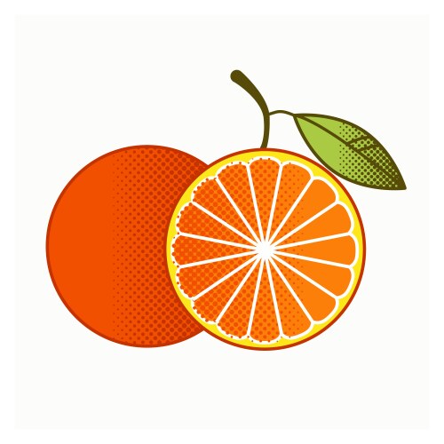 Realistic orange fruit Royalty Free Vector Image