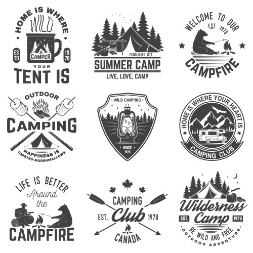 Campfire Summer Adventure Vector Image