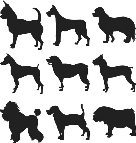 Collection of dogs silhouette Vector Image
