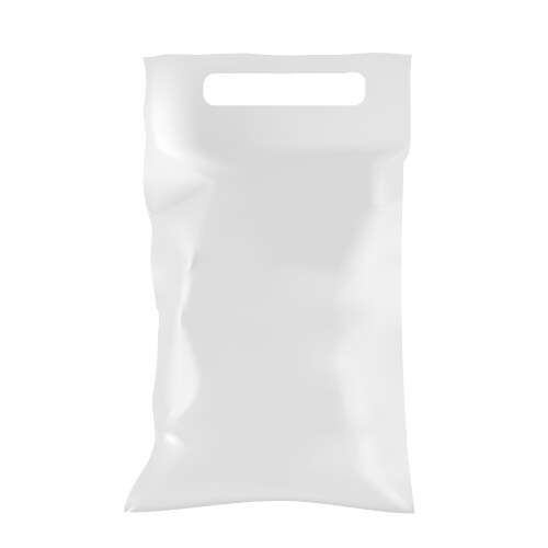 Bag vector image