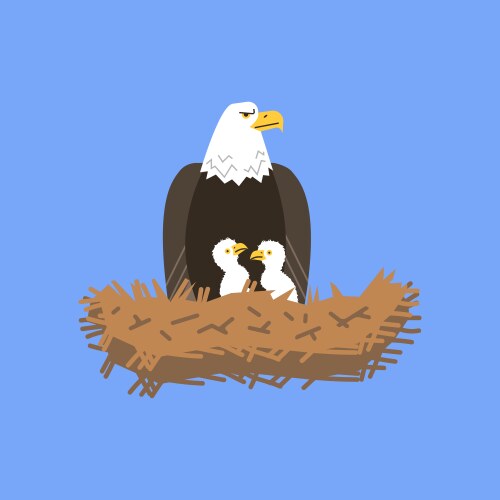 Realistic Eagle Vector Images (over 1,800)
