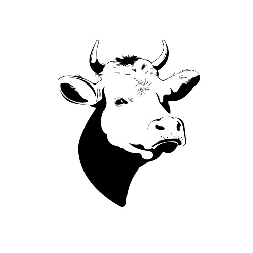 Silhouette of cow head with horns Vector Image
