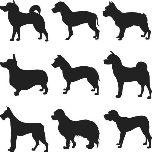 Set of dogs silhouette Vector Image