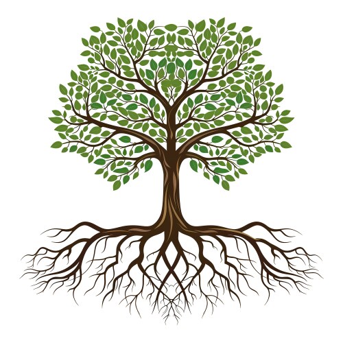 Tree Roots Background Vector Images (over 9,500)
