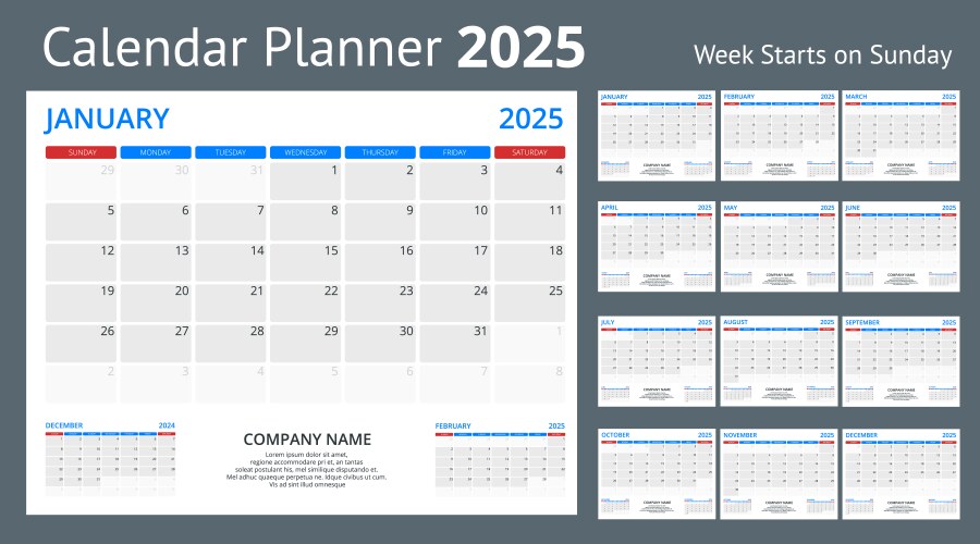 Quarter calendar template for 2025 year wall Vector Image