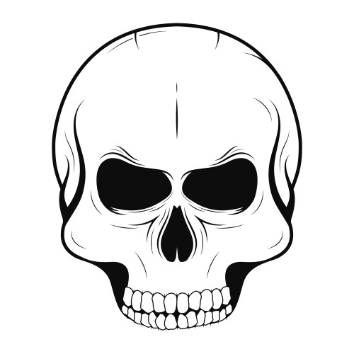 Vintage Tattoo Skull Vector Image