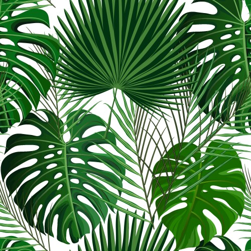 Tropical Monstera Leaf Pattern Vector Image