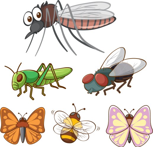 Flat moth set of summer insect archippus – Royalty-Free Vector ...