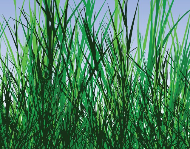 Overgrown Grass Tangle Vector Image