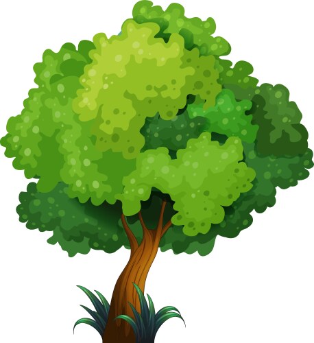 Tree Royalty Free Vector Image - VectorStock
