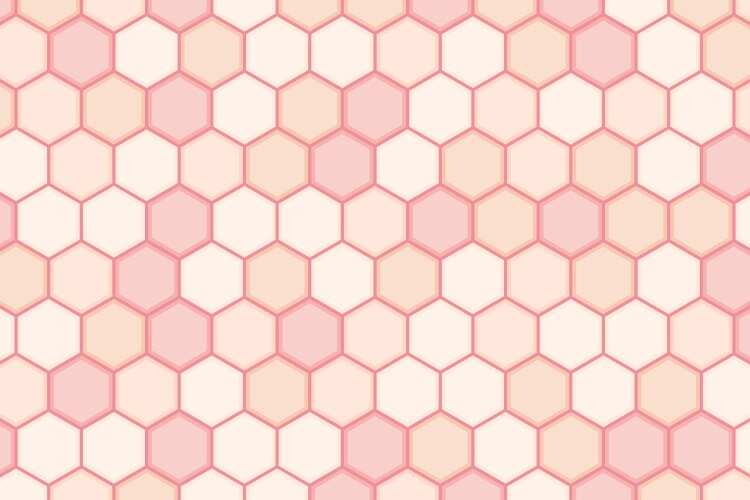 Abstract minimal hexagonal pattern design vector image