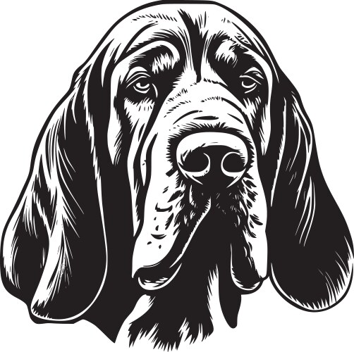 Bloodhound - minimalist and flat logo Vector Image