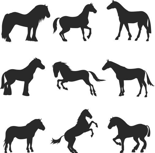 Horse Silhouettes - Black Pony Set Vector Image