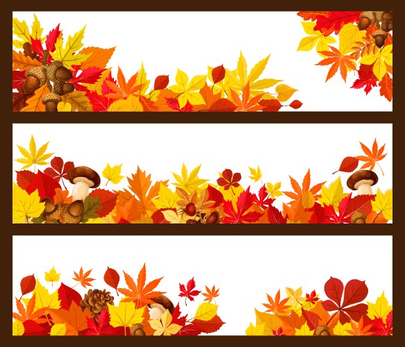 Autumn Leaf Border - Fall Season Vector Image