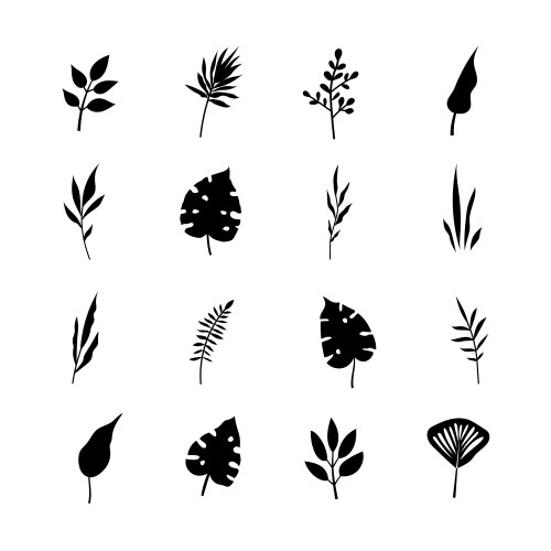 set of tree branches eucalyptus palm leaves herbs vector