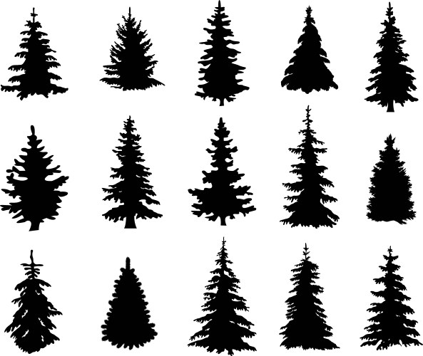 Pine Tree Black and White Vector Images (over 10,000)