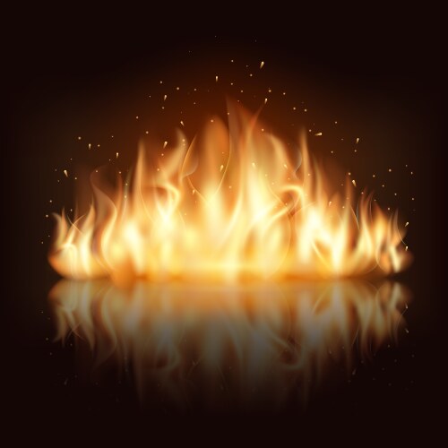 Burning fire flame Royalty Free Vector Image - VectorStock
