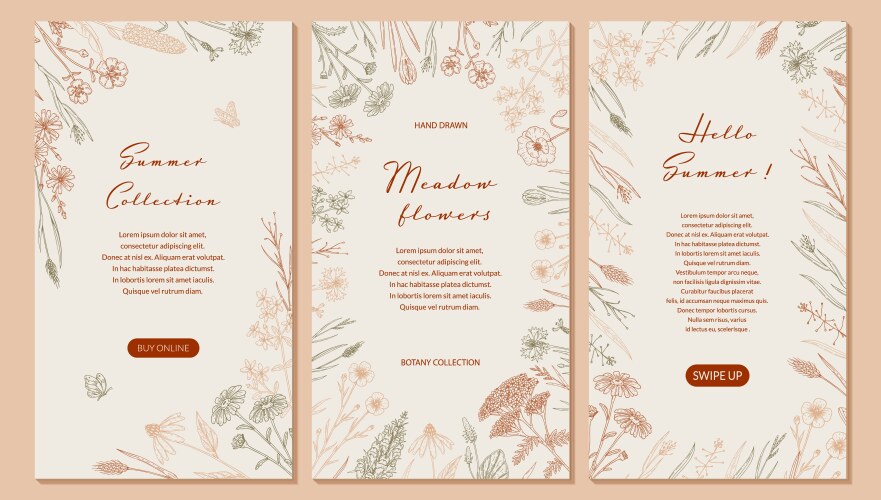 Wildflower Summer Story Template Vector Image