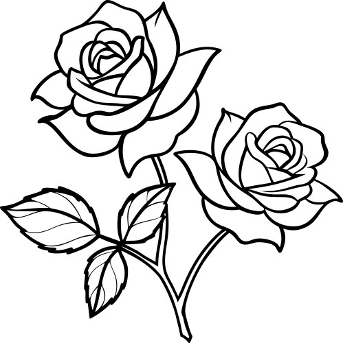 Rose flower line art with leaves and buds Vector Image
