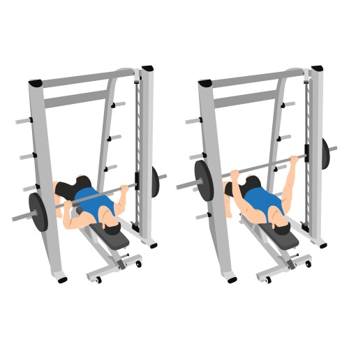 Incline barbell bench press exercise Royalty Free Vector