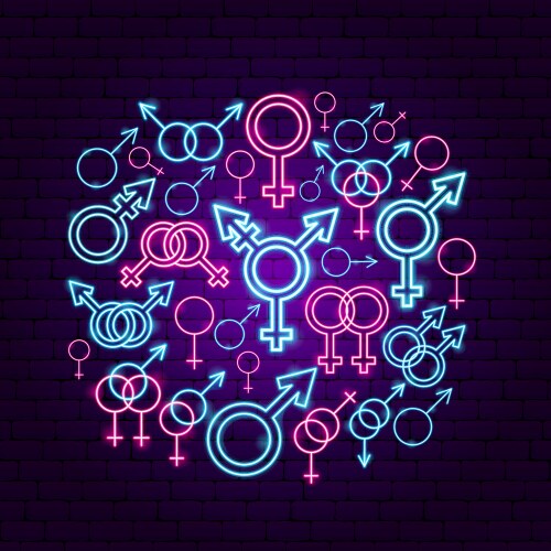 gender sex neon concept vector image