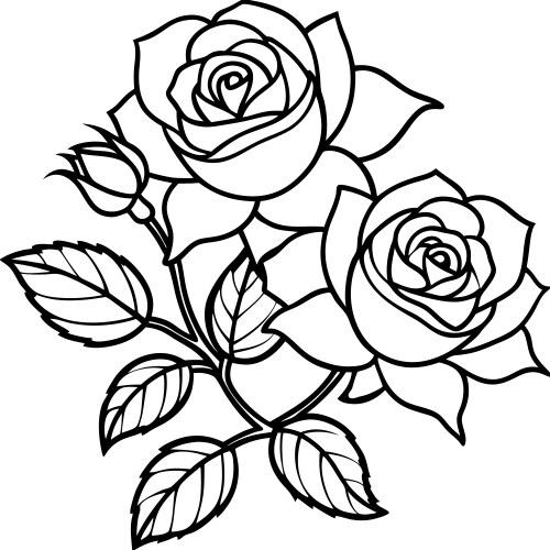 Rose flower line art with leaves and buds Vector Image
