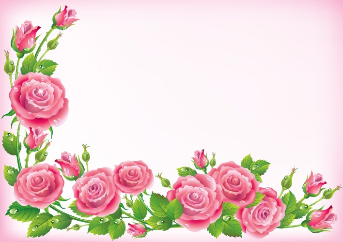 Frame from pink roses Royalty Free Vector Image