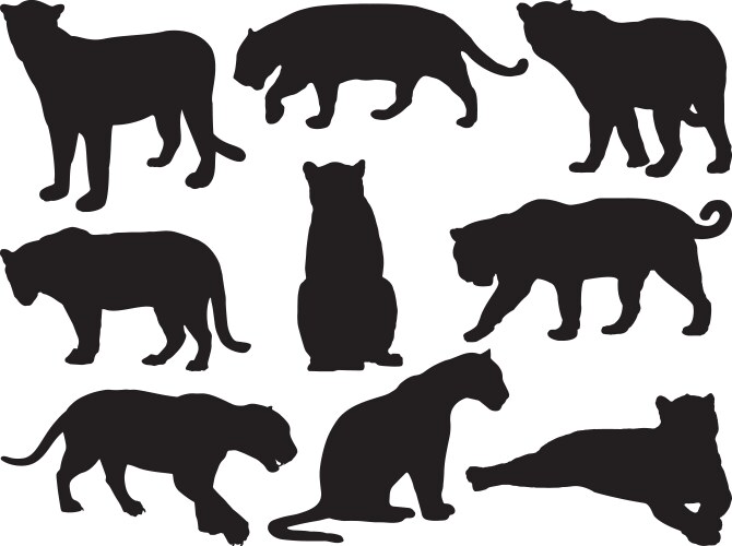 Jaguar Silhouette - Black Animal Vector Image