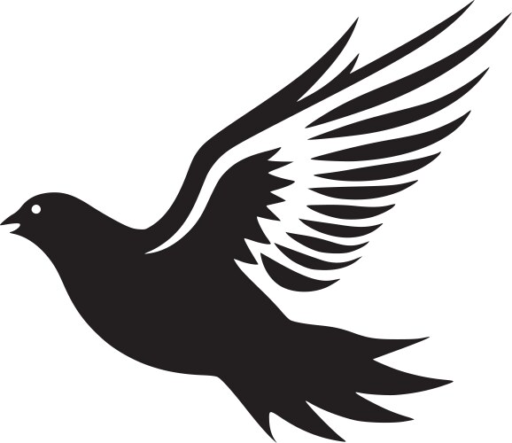 Dove bird - black and white vector image