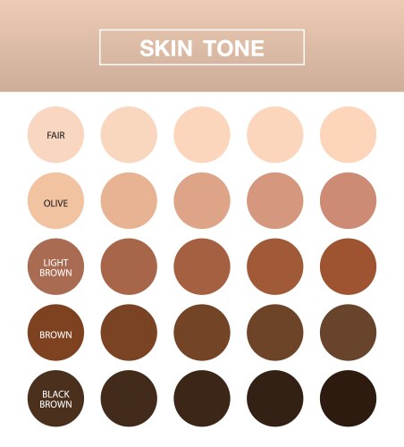 Skin tone infographic color table chart beauty vector image