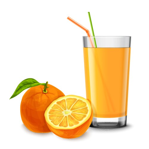 orange juice glass vector