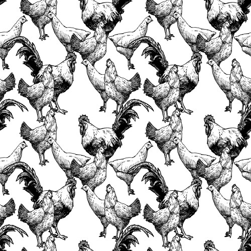 Vintage Poultry Pattern Vector Image