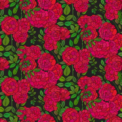 Seamless pattern with colorful bush roses Vector Image