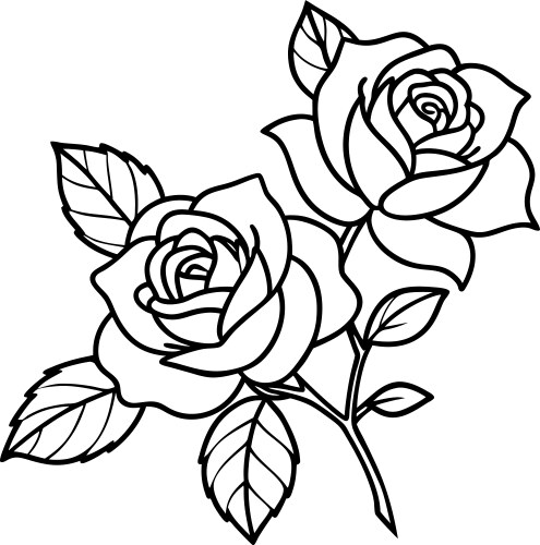 Elegant Rose Line Art Vector Image